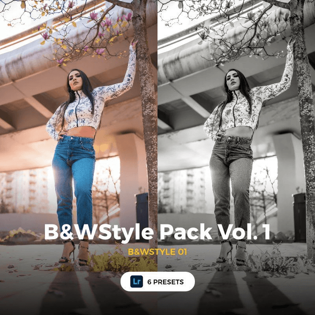 LR - B&WStyle Pack Vol. 1