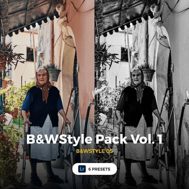 LR - B&WStyle Pack Vol. 1