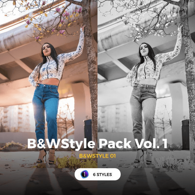 C1 - B&WStyle Pack Vol. 1